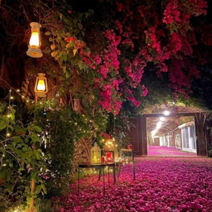 hole ft kira sped up