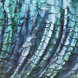 TWITTER FINGER FRENZY