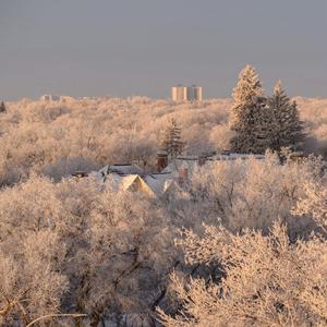 Rest Assured My Love