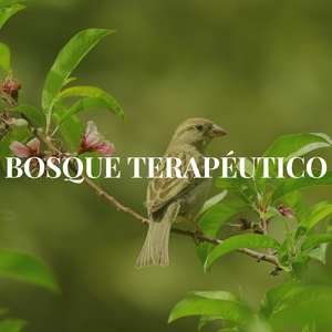 TAI CHI NATURALEZA