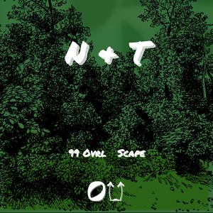 N & T (feat. Scapemadethis)