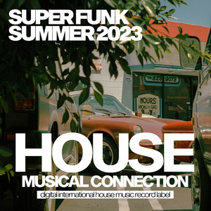 Midnight Funk (Original Mix)