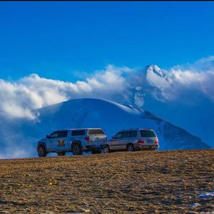 森林中的灵魂相遇