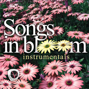 Haven't You Heard (Instrumental)