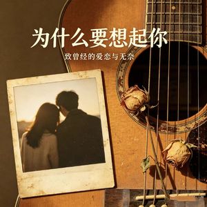 为什么要想起你