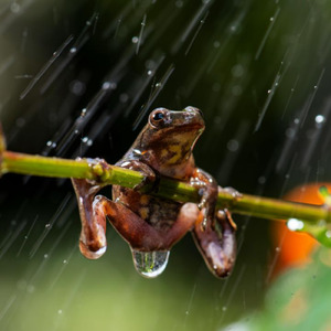 雨が忘れた名前～時間とともに滲んでいく儚い記憶～