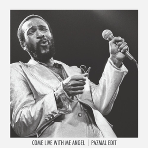 Come Live With Me Angel (Pazmal Edit)