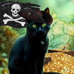 Buccaneer Kitty