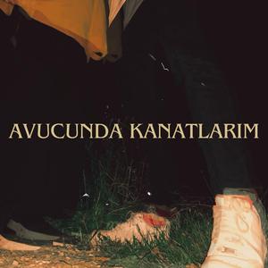 AVUCUNDA KANATLARIM
