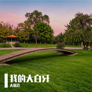 我的大白牙