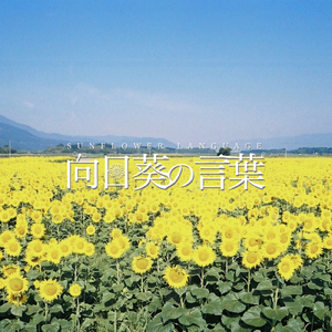 向日葵の言葉