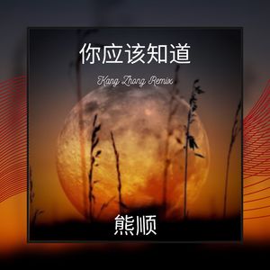 我曾见过这一切 (Kang Zhong Remix)