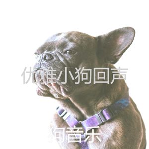 微妙的幼犬心情
