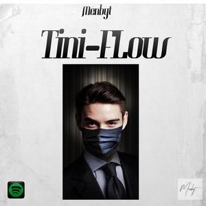 Tini-Flow