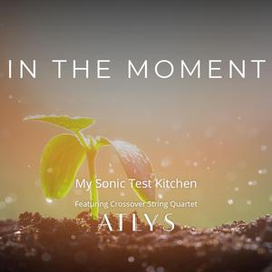 In The Moment (feat. ATLYS & Andrijana Janevska)