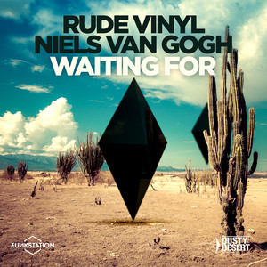 Waiting For (Niels Van Gogh Remix)