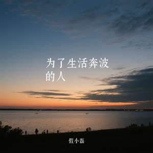 为了生活奔波的人