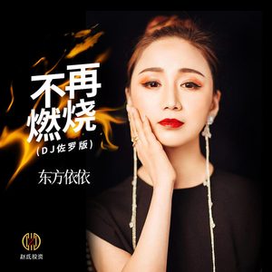 不再燃烧 (DJ佐罗版)