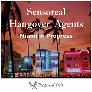 Miami in Progress (Holiday Edit)