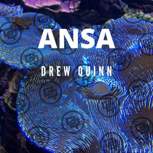 Ansa