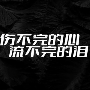 伤不完的心流不完的泪 (快四)