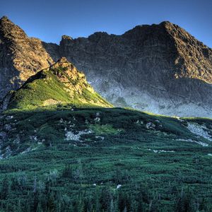 趁一切都还来得及