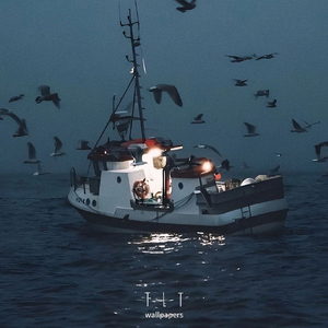 《缺爱的人总是向不缺爱的人疯狂贡献爱》