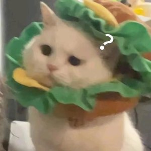 漩涡