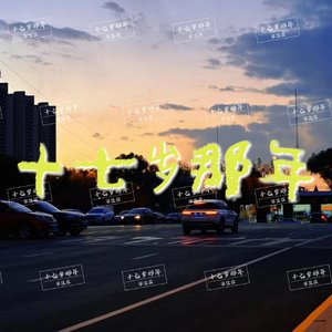 十七岁那年（instrumental)