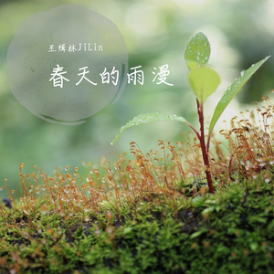 春天的雨漫