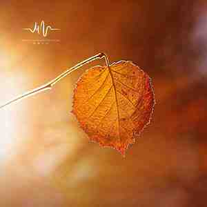 倾城祸世 (安神静心古筝曲)