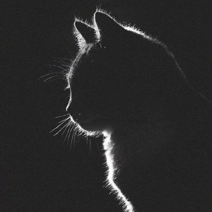 cloud_20251031_0237040.wav