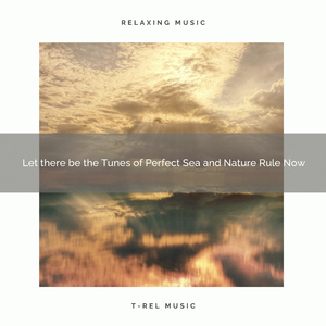 Soothing Flowing Shimmering Sea Deep