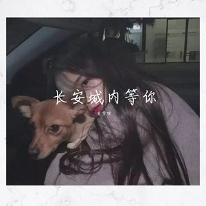 长安城内等你