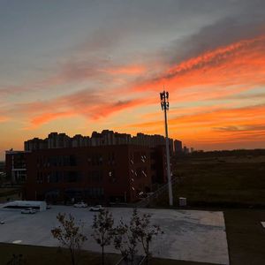 泡沫（杨树人）