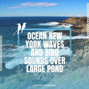 Summer Splash over Pond