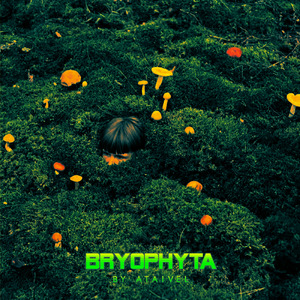 Bryophyta