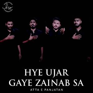 Hye Ujar Gaye Zainab Sa