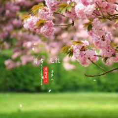 前者无能后者居上