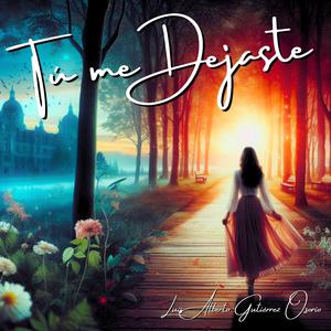 Tú me Dejaste