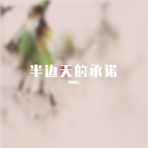 半边天的承诺 伴奏