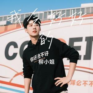 我会好好的 (Cover 周深深)