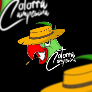 Viceministro Historia Real (En Vivo)