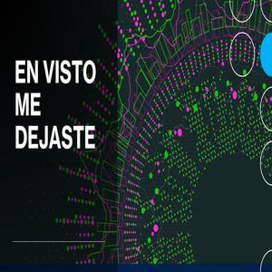 En Visto me Dejaste