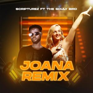 Joana (Remix)
