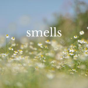 smells
