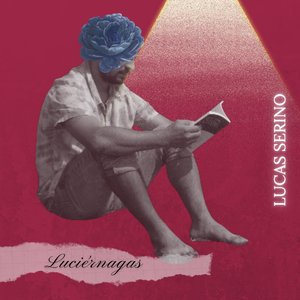 Luciernagas