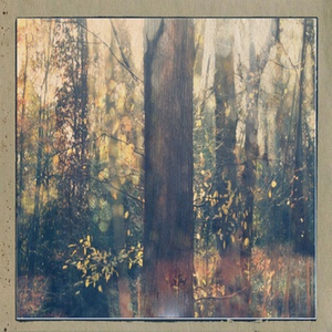 It's a Matter of Fact that if I Cross the whole World is Just to Reach You