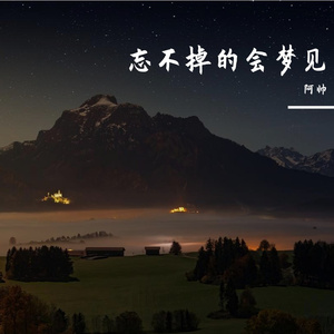 忘不掉的会梦见