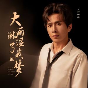 大雨淋湿了我的梦（伴奏）